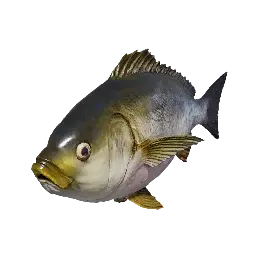 Threeline Grunt