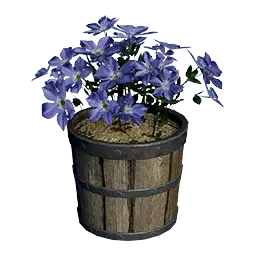 Violet Flower Pot