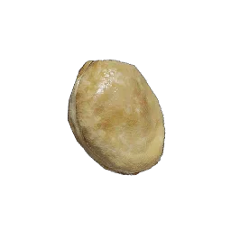 Wild Ginseng Seed in Crimson Desert