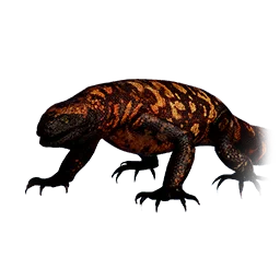 Heloderma Lizard
