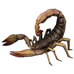 Scorpion