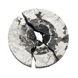 Sage's Eye