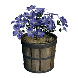 Violet Flower Pot