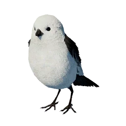 Long-Tailed Tit