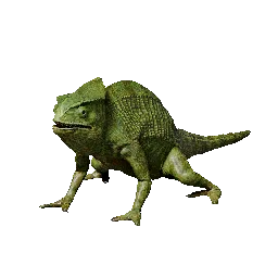 Chameleon