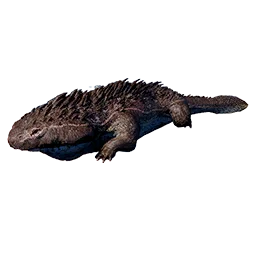 Burrowing Salamander