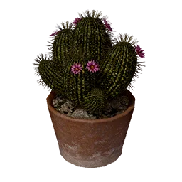 Flower-Decorated Cactus Pot