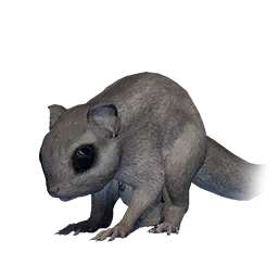 Flying Squirrel