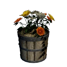Colorful Gerbera Pot