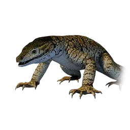 Goanna