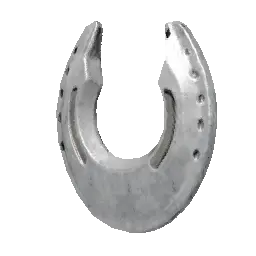 Silvermoon Horseshoes