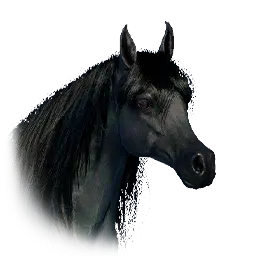 Brianto Trade Goods Packhorse