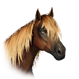 Herspia Trade Goods Packhorse