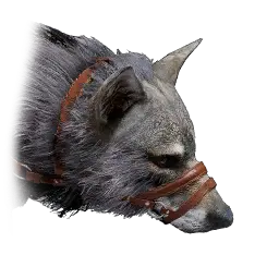 Captured Wolf