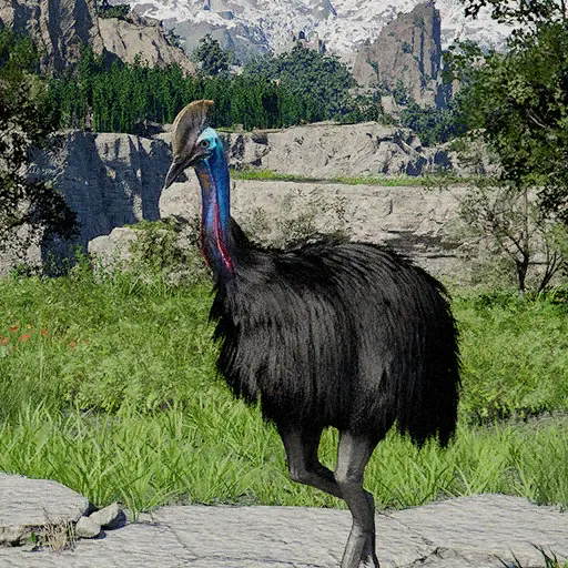 Cassowary