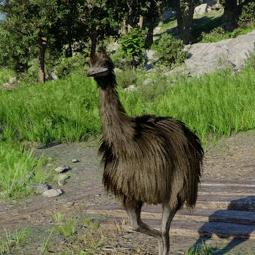Emu