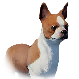 Brown Puppy pet portrait in Crimson Desert