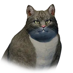 Fat Cat