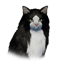 Long-Haired Cat pet portrait in Crimson Desert