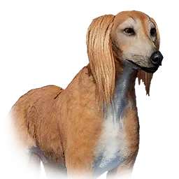 Saluki pet portrait in Crimson Desert