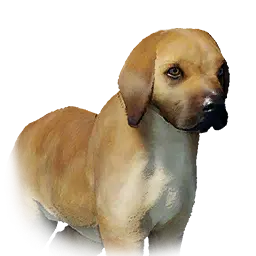 Tan Puppy pet portrait in Crimson Desert
