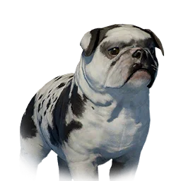 Floppy-Eared Bulldog Variant 8