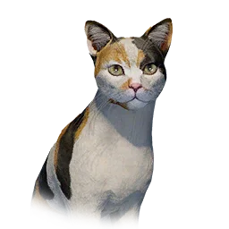Tricolor Slim Cat