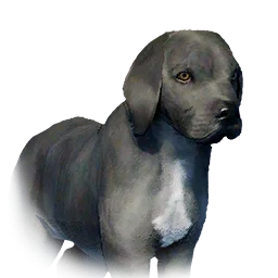 Boarhound Puppy - Variant 4