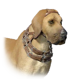 Guard Dog Boarhound