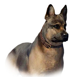 Shepherd dog pet in Crimson Desert