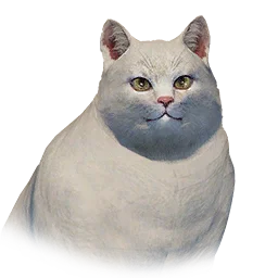Fat Cat - White variant