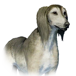 Saluki variant: Saluki