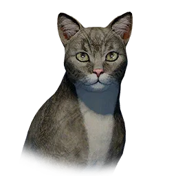 Cat pet in Crimson Desert