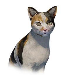 Tabby Slim Cat