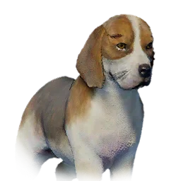 Beagle pet in Crimson Desert