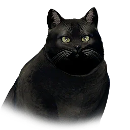 Fat Cat - Black variant