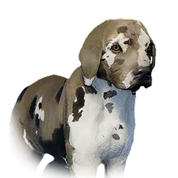 Boarhound Puppy - Variant 9