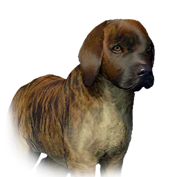 Boarhound Puppy - Variant 6