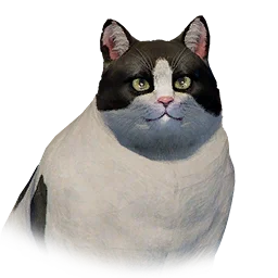 Fat Cat - Bicolor variant