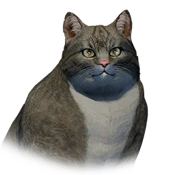 Fat Cat pet in Crimson Desert