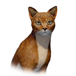 Yellow Slim Cat