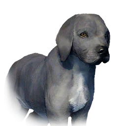 Boarhound Puppy - Variant 5