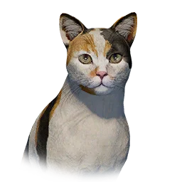 Tricolor Cat