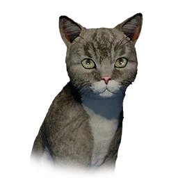 Kitten pet in Crimson Desert