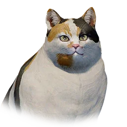 Fat Cat - Tricolor variant
