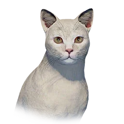 White Cat