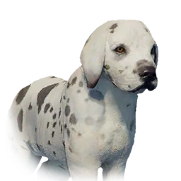 Boarhound Puppy - Variant 3