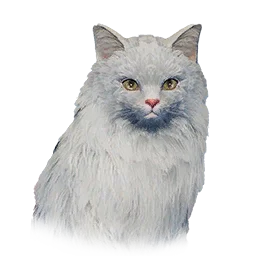 White Long-Haired Cat