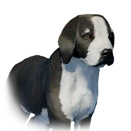 Boarhound Puppy - Variant 8
