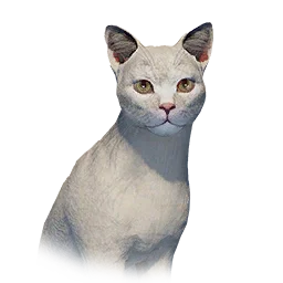 White Slim Cat